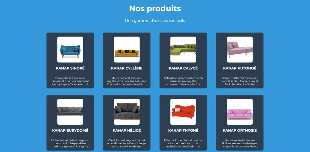 Screenshoot du projet Kanap - Fourth project for OpenClassrooms