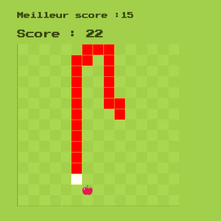 illustration du projet:Snake clone