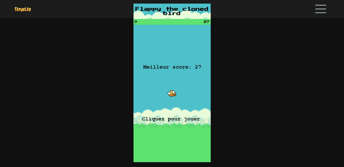 illustration du projet:Floppy-bird