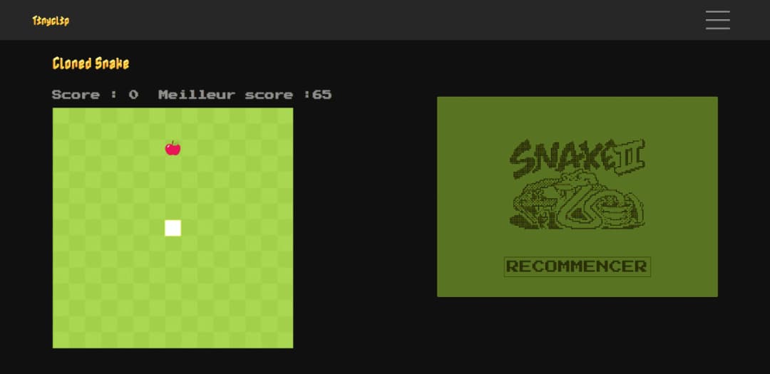 Screenshoot du projet Tinyclip - Third project on my own (the second is the portfolio)